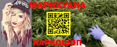 индика Кинель