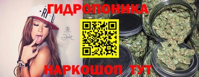 трава Кингисепп