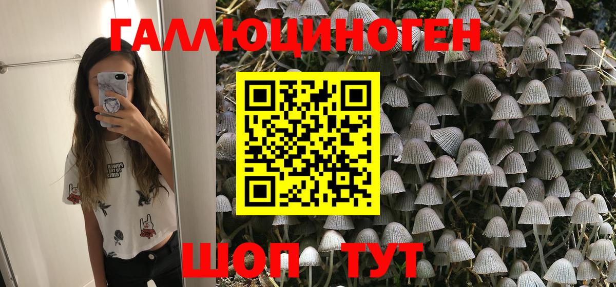Дзержинск  Псилоцибиновые грибы мухоморы  Вход с VPN 