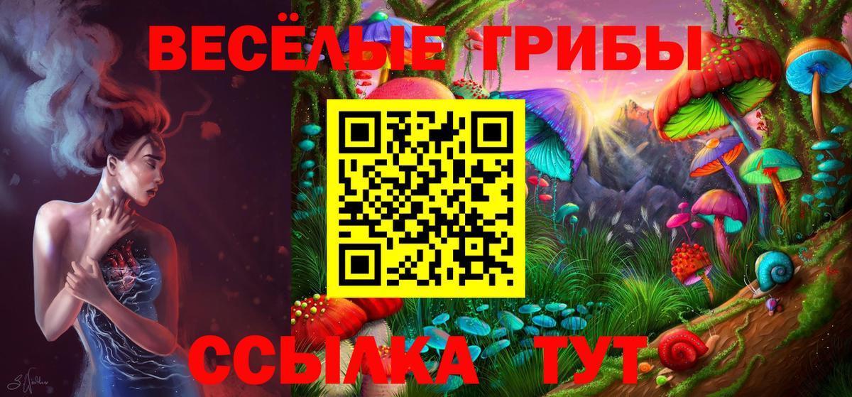 Псилоцибиновые грибы Psilocybine cubensis Дзержинск